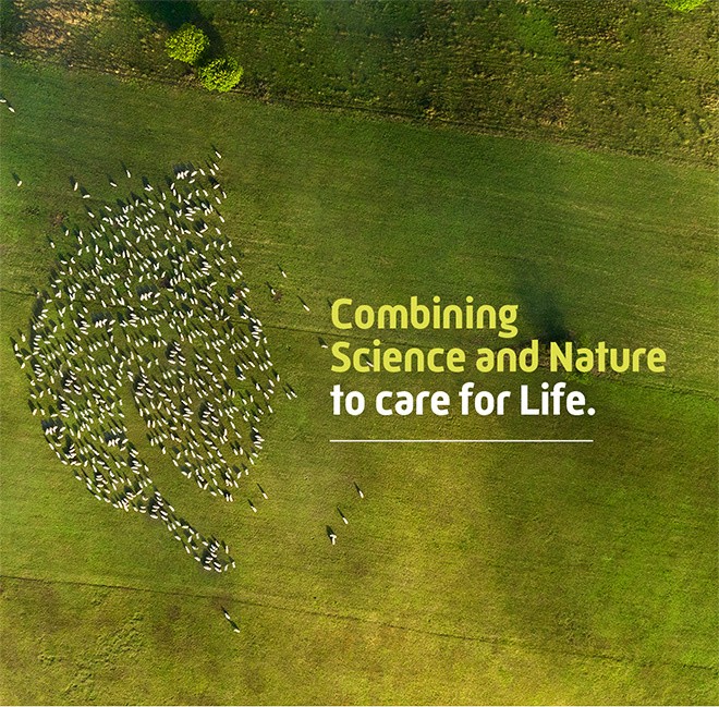 Aerial photo of a sheep farm in a field