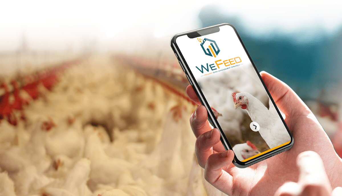 Wefeed poultry