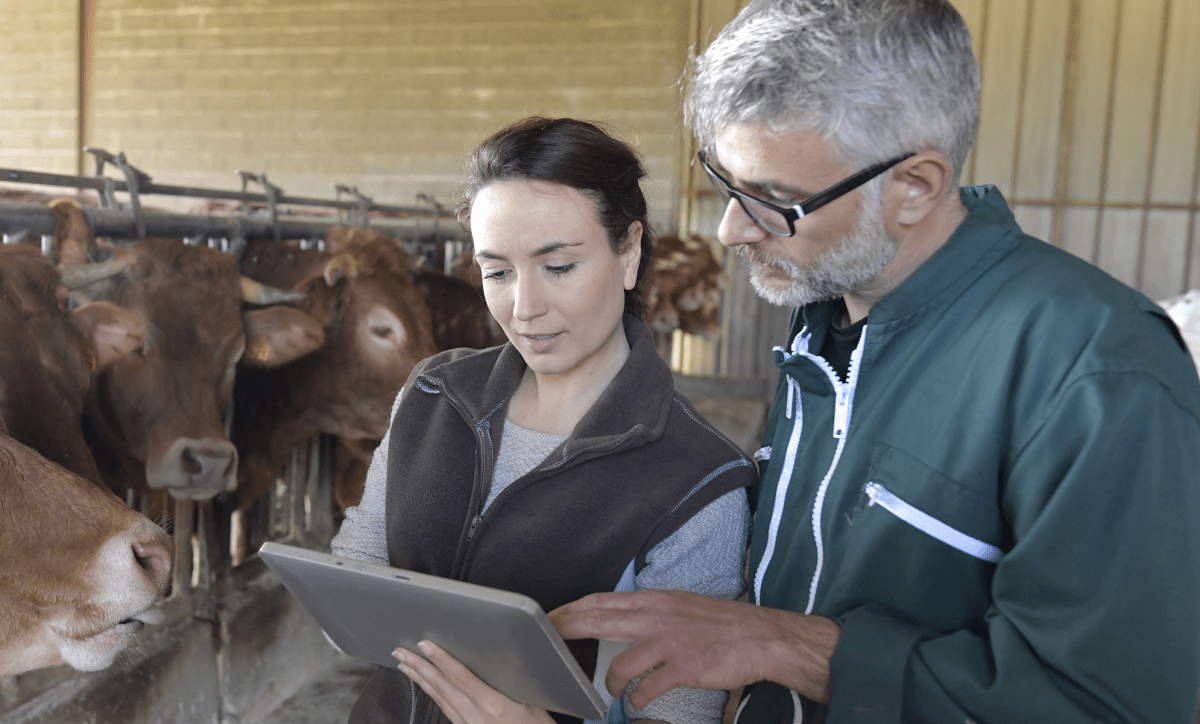 Easy map photo d'un technicien et d'une éleveuse avec une tablette en élevage