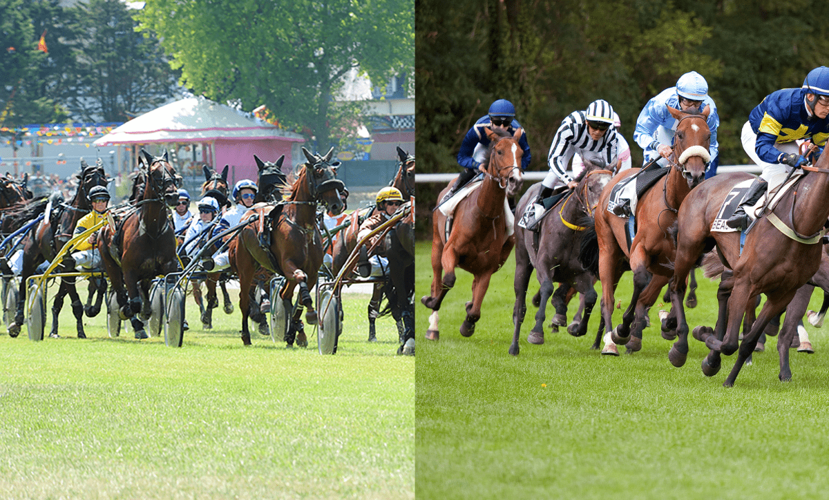 Competition of trotting and galloping riders