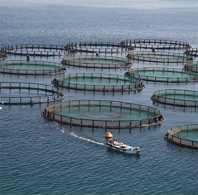 Aquaculture farm