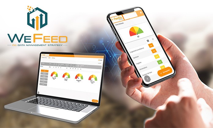 Application Wefeed porc sur Smartphone et PC
