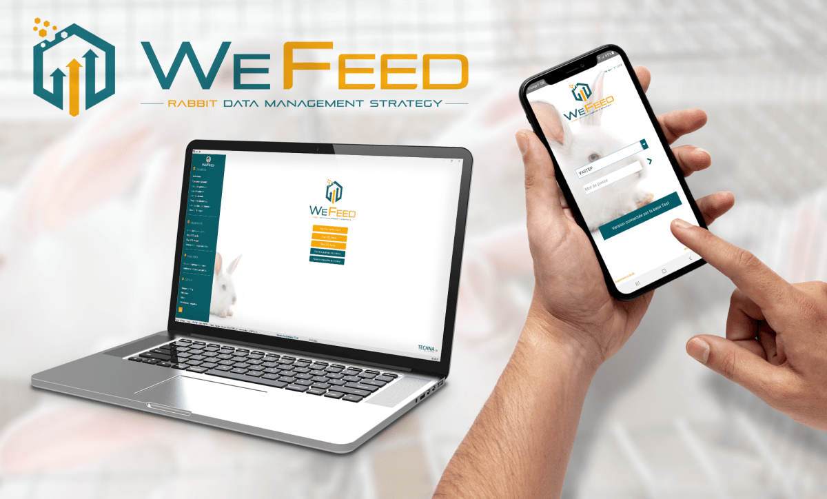 Application Wefeed lapin sur pc et smartphone