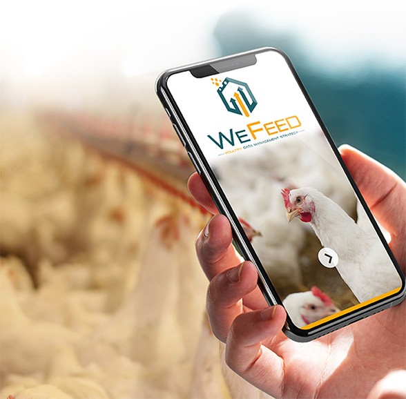 Wefeed poultry application on smartphone