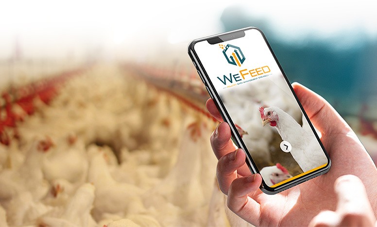 Wefeed poultry application on smartphone