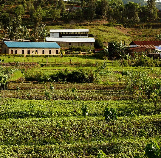 Ivorian landscape