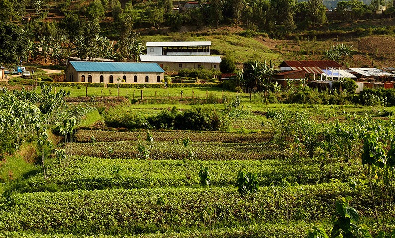 Ivorian landscape