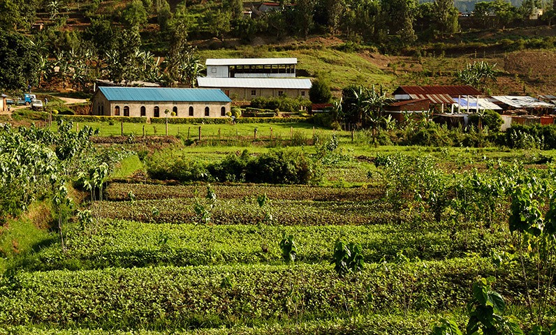 Ivorian landscape