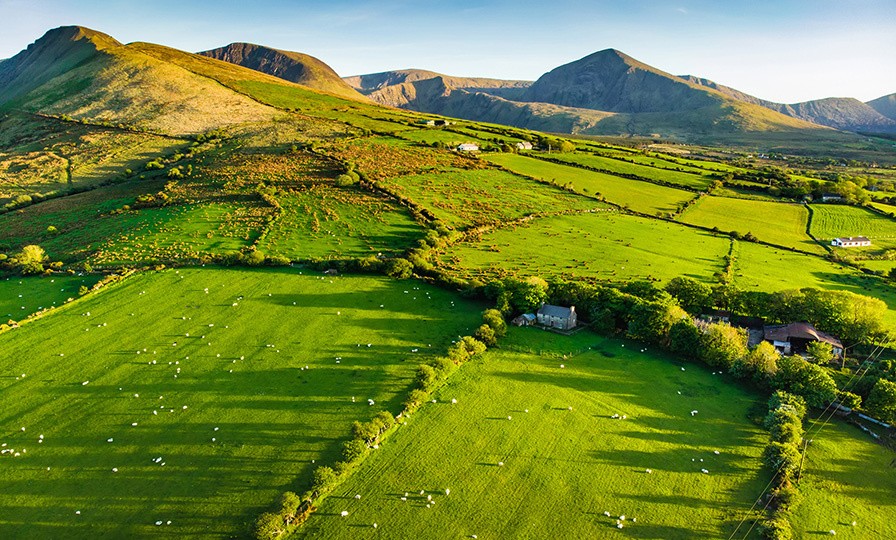 Irish landscape