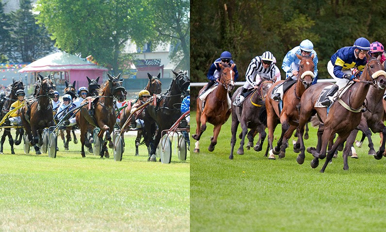 Une course de chevaux