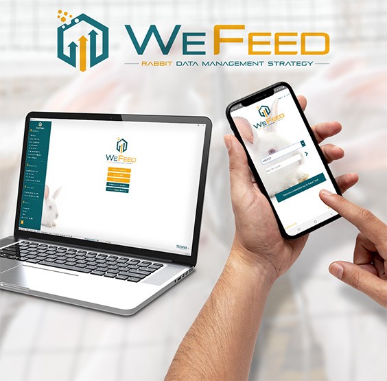 Wefeed rabbit application on desktop and smartphone
