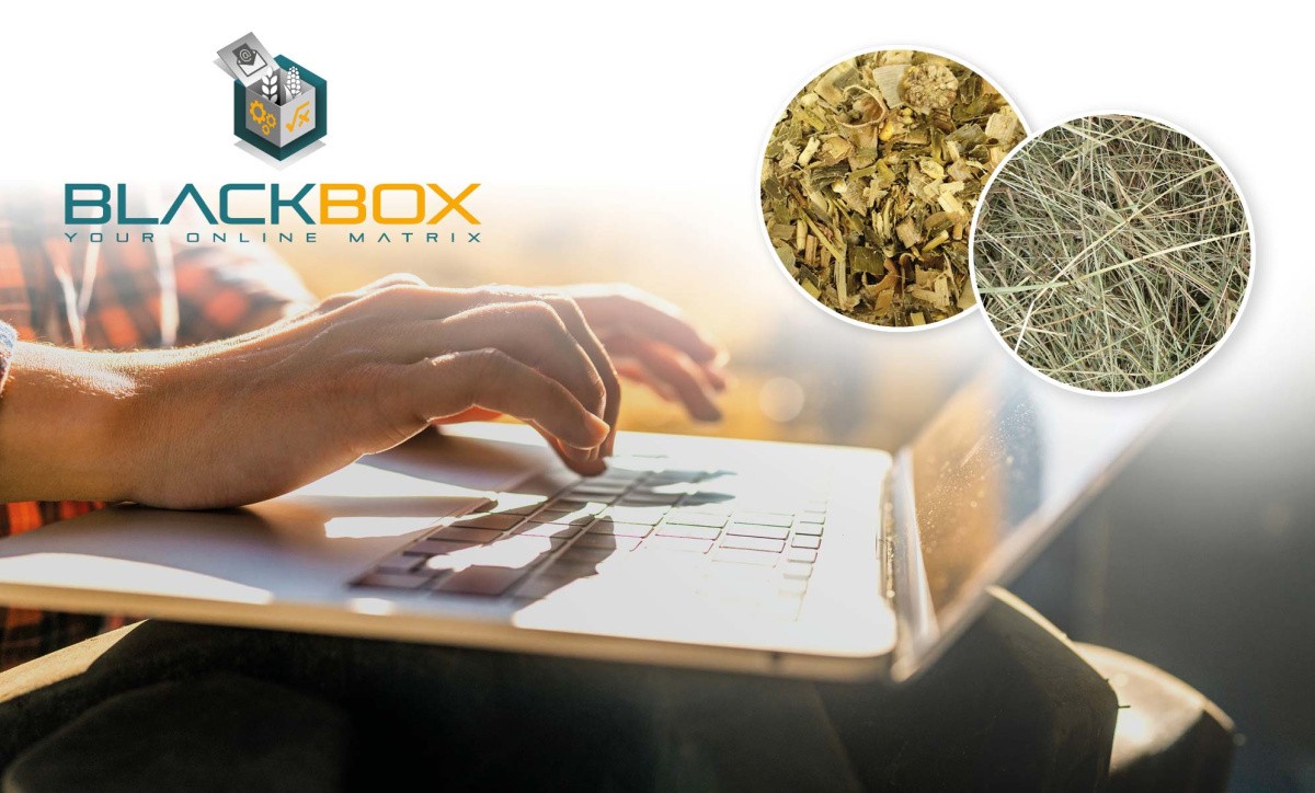 Black Box, Calculation of forage matrices