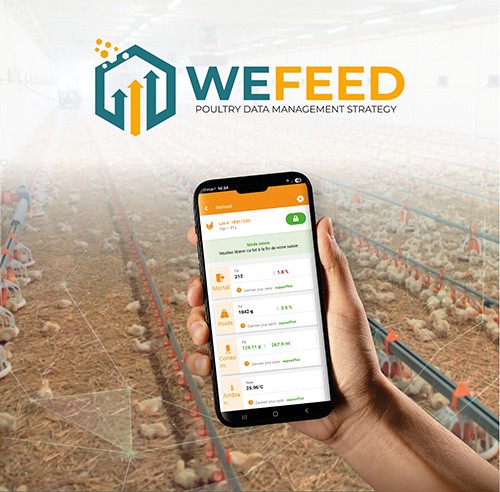 WeFeed Poultry smartphone
