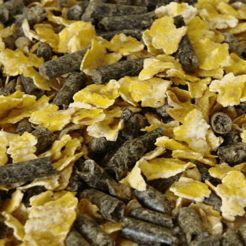 Feeding Cattle Coarse Mixes