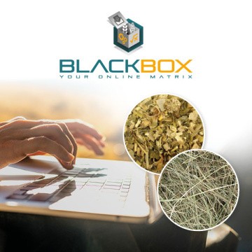 Black Box, Calculation of forage matrices