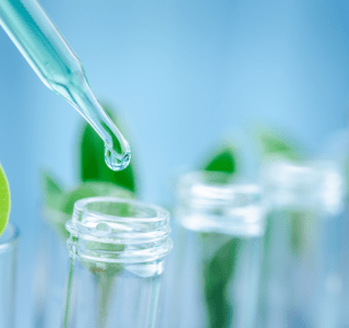 Pipettes et plantes dans un laboratoire