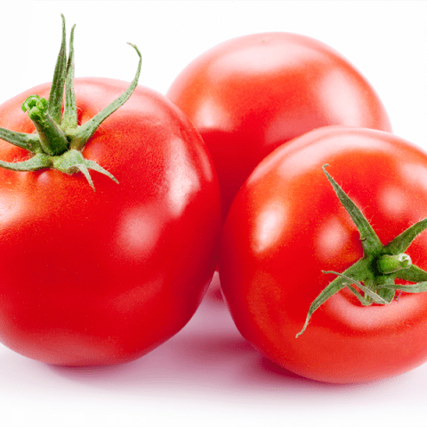 Tomate : Les débuts du chauffage infrarouge en serre hors-sol