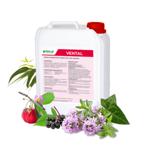 Vental : contribue au confort respiratoire des volailles | Natual
