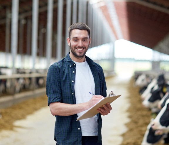 Technicien dans un élevage de vache laitière
