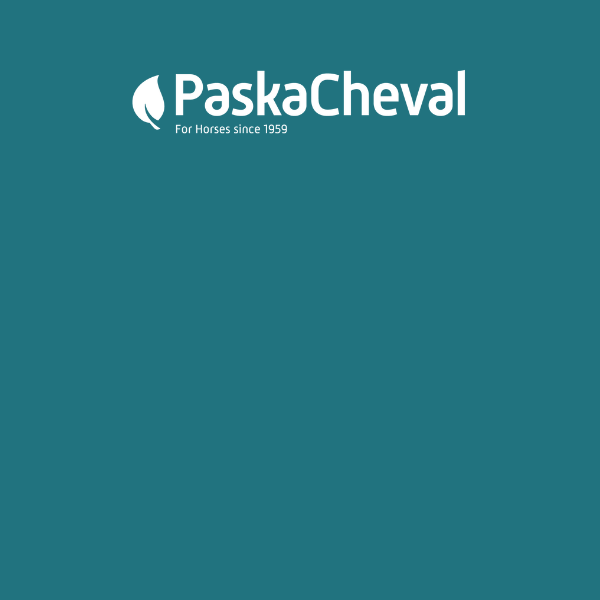 Logo Paskacheval
