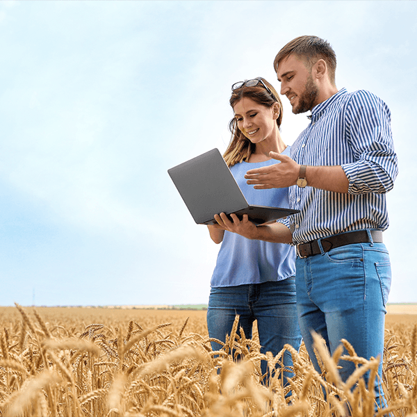 Deux personnes avec une tablette dans un champs de blé