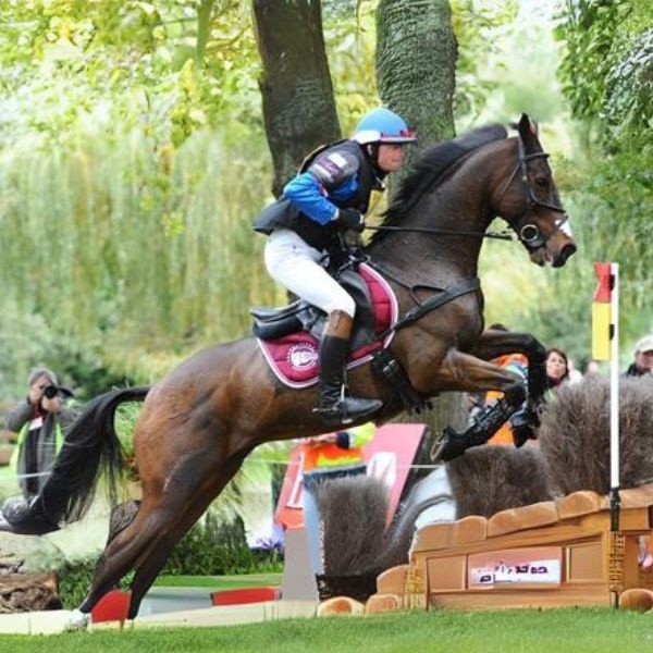 Prévenir la déshydratation du cheval de CCE