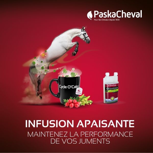 cyclocalm paskacheval