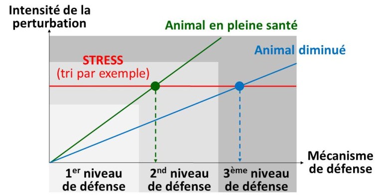 Différents niveaux de stress et conséquences sur les poissons