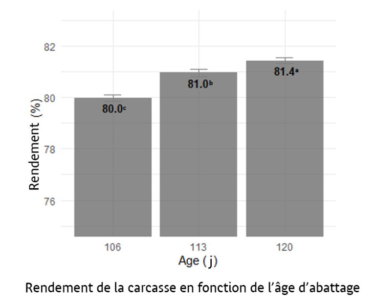 Rendement carcasse dinde