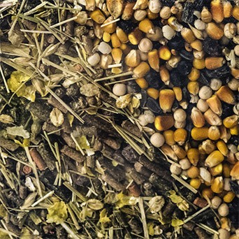 plusieurs matières premières