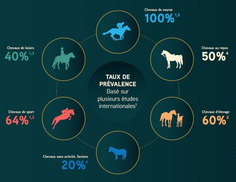 schéma taux prévalence ulcères cheval