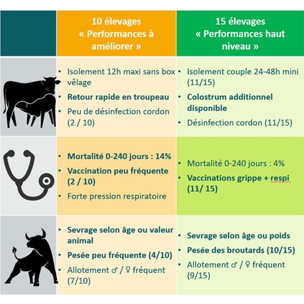 Etude démarrage des veaux