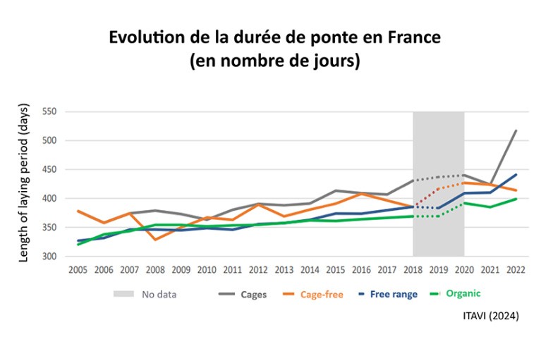 graphique evolution de la durée de ponte en France