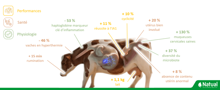 Nouveaux résultats Metrabol