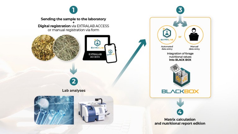 Black Box forages approach