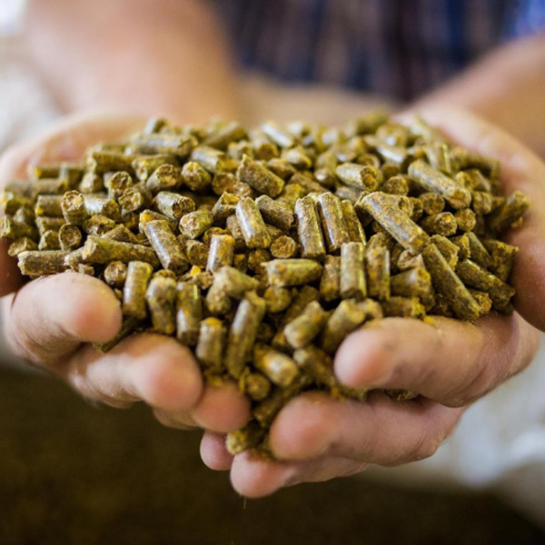 visuel granulés nutrition animale