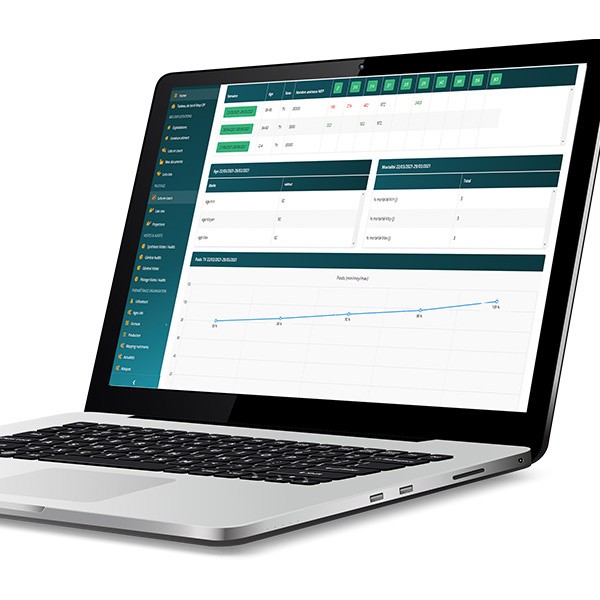 Ecran ordinateur WeFeed Strategy