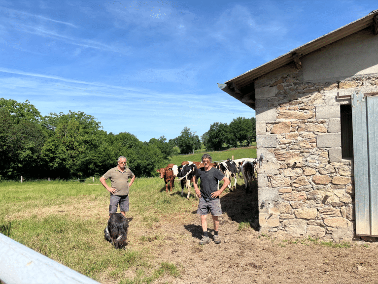 deux eleveurs avec des vaches