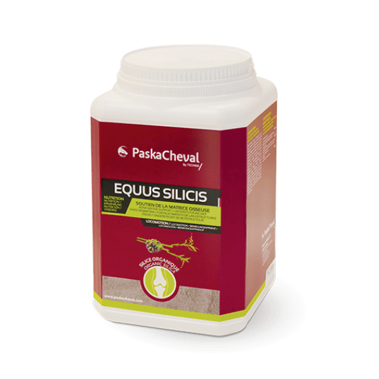 Equus Silicis soutien de la matrice osseuse 