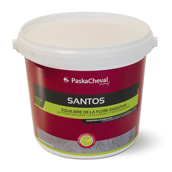 Santos équilibre de la flore digestive 