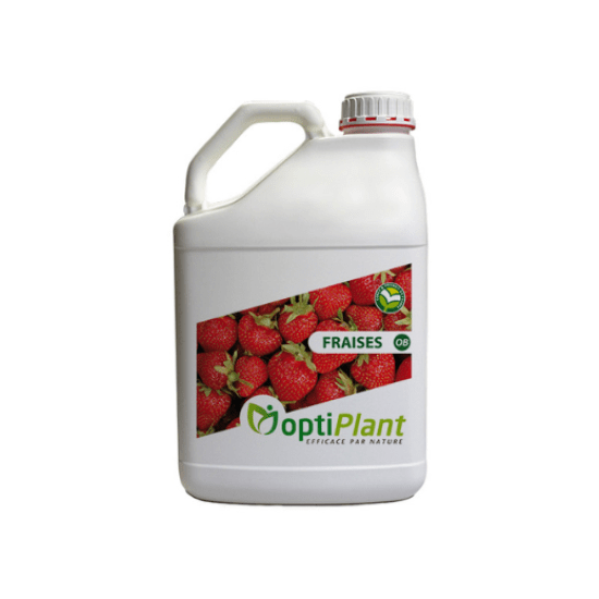 Optiplant fraise