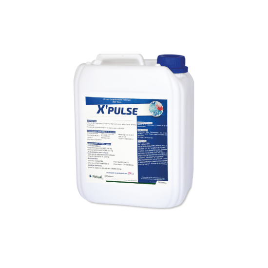 Bidon Natual Xpulse