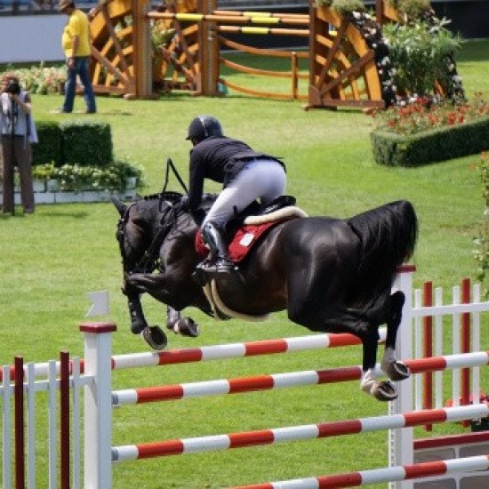 Jumping rider