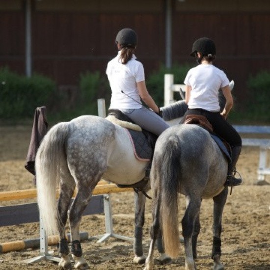 2 cavalières sur leur chevaux