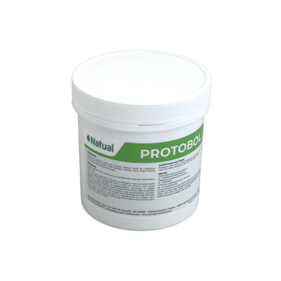 protobol_pot_site-web.png
