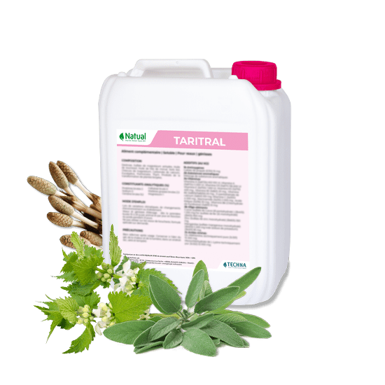 Taritral FR